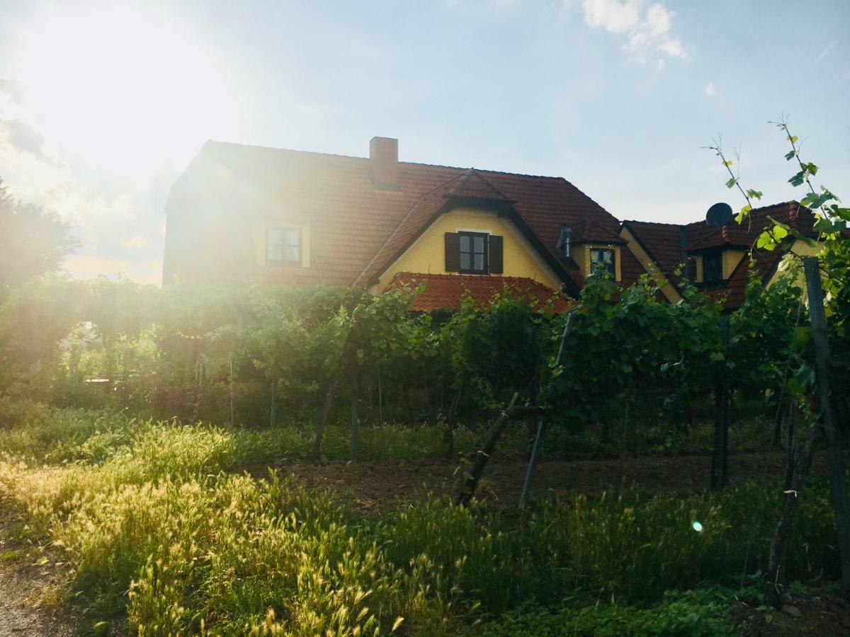 Landhaus Weinblick Rohrendorf bei Krems Eksteriør billede